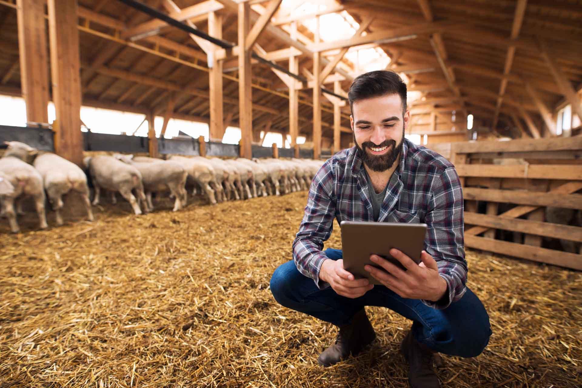 Agrogroup Agronegocios
